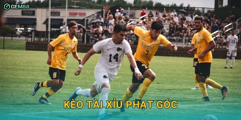 Kèo tài xỉu phạt góc GEM88 – Hướng dẫn phân tích và đặt cược hiệu quả 1 Kèo tài xỉu phạt góc GEM88 – Hướng dẫn phân tích và đặt cược hiệu quả