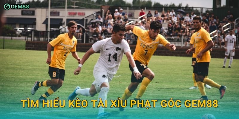 Kèo tài xỉu phạt góc GEM88 – Hướng dẫn phân tích và đặt cược hiệu quả 2 Tìm hiểu kèo tài xỉu phạt góc GEM88